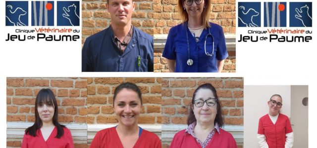 Vétérinaires Docteur Luc DUBOIS Docteur Laure POULAIN Auxiliaires Spécialisés Vétérinaire Aurélie Céline Christelle Jade